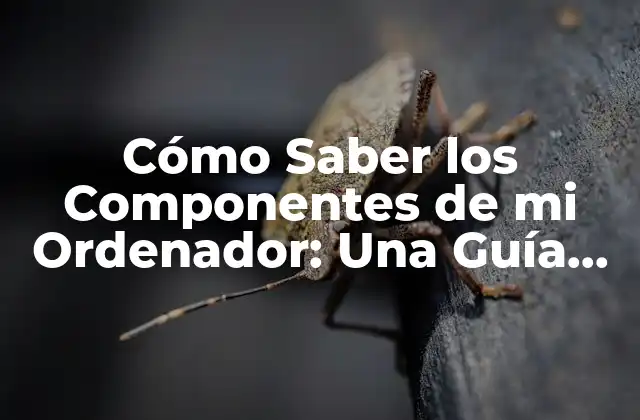 Cómo Saber los Componentes de Mi Ordenador: una Guía Detallada