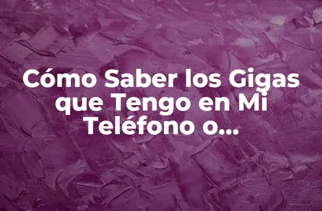 Cómo Saber los Gigas que Tengo en Mi Teléfono o Computadora 2 ¿Por qué es Importante Saber los Gigas que Tengo?