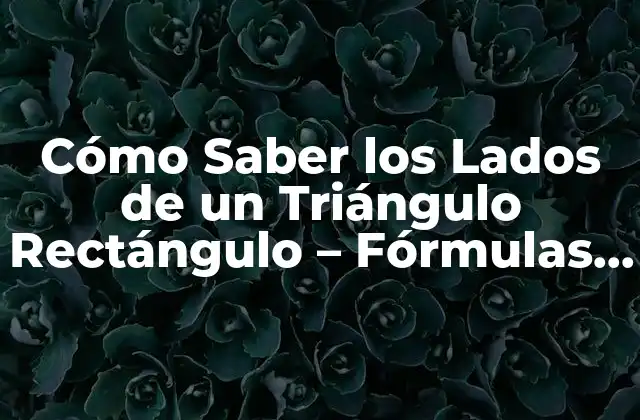 Definición de un Triángulo Rectángulo