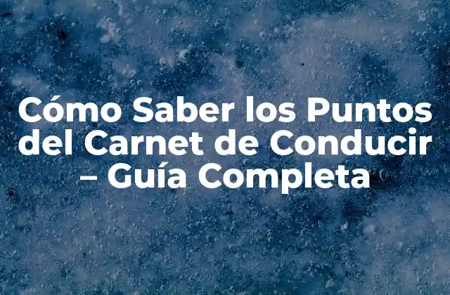 Cómo Saber los Puntos Del Carnet de Conducir – Guía Completa