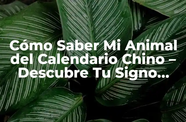 Cómo Saber Mi Animal Del Calendario Chino – Descubre Tu Signo Astrologico