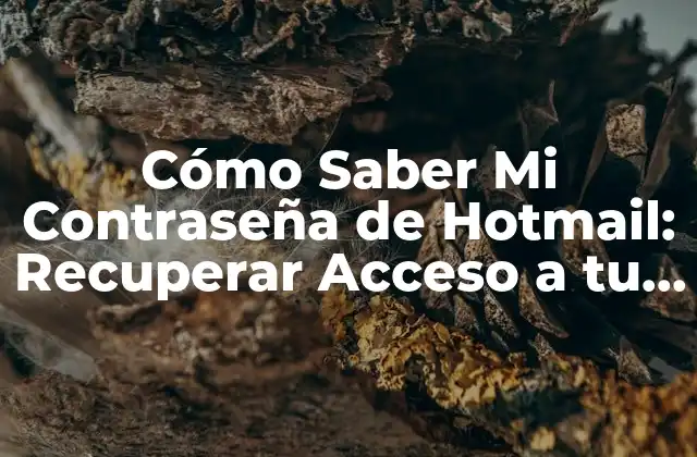 Cómo Saber Mi Contraseña de Hotmail: Recuperar Acceso a Tu Cuenta