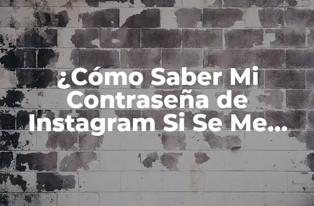 ¿cómo Saber Mi Contraseña de Instagram Si Se Me Olvida?