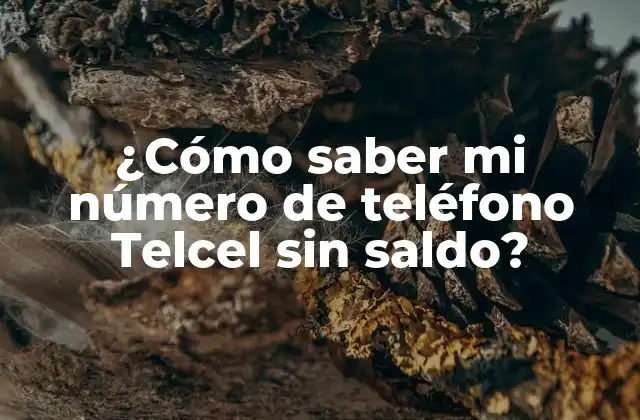 ¿cómo Saber Mi Número de Teléfono Telcel sin Saldo? 2 ¿Por qué es importante saber mi número de teléfono Telcel?