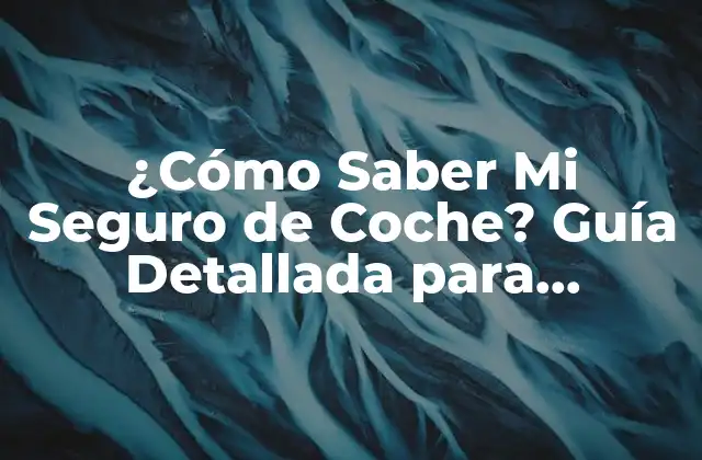 ¿cómo Saber Mi Seguro de Coche? Guía Detallada para Conducir con Confianza