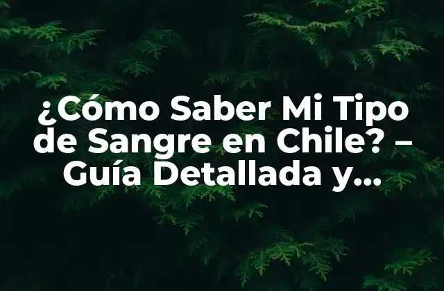 ¿cómo Saber Mi Tipo de Sangre en Chile? – Guía Detallada y Completa