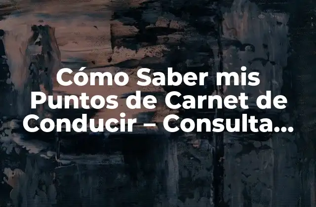 Cómo Saber Mis Puntos de Carnet de Conducir – Consulta Tus Puntos de Licencia
