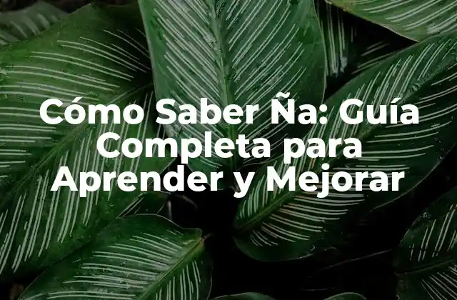 Cómo Saber Ña: Guía Completa para Aprender y Mejorar