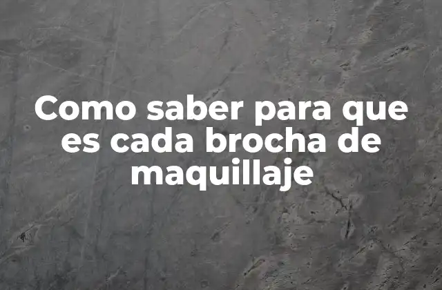 Como Saber para que es Cada Brocha de Maquillaje 2 Cómo identificar las funciones de las brochas sin necesidad de etiquetas