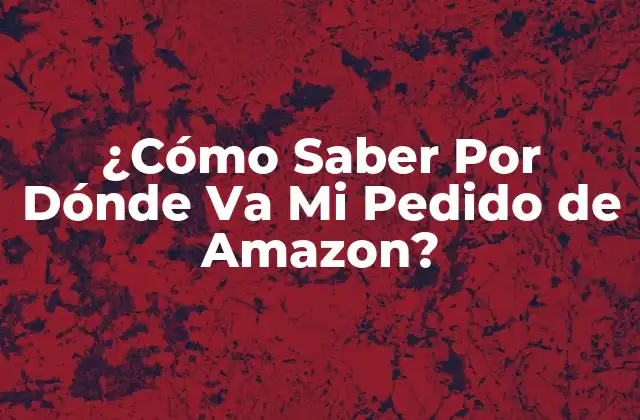 ¿cómo Saber por Dónde Va Mi Pedido de Amazon?