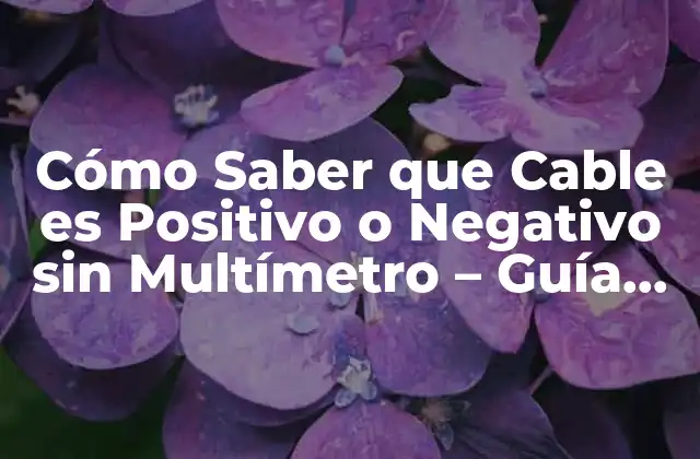 Cómo Saber que Cable es Positivo o Negativo sin Multímetro – Guía Práctica
