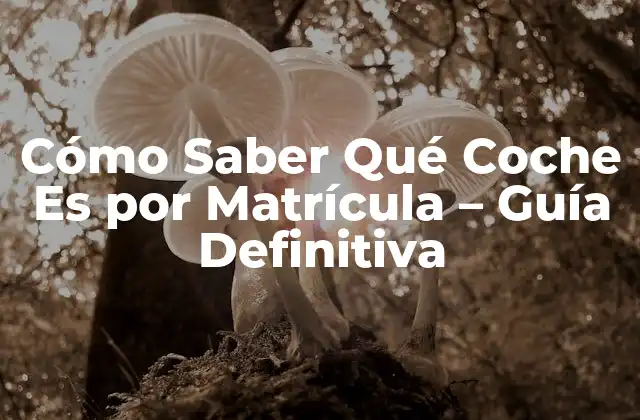 Cómo Saber Qué Coche es por Matrícula – Guía Definitiva