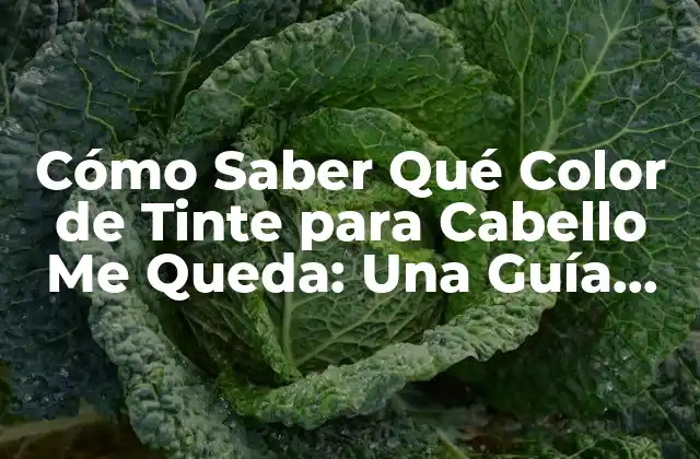 Cómo Saber Qué Color de Tinte para Cabello Me Queda: una Guía Definitiva