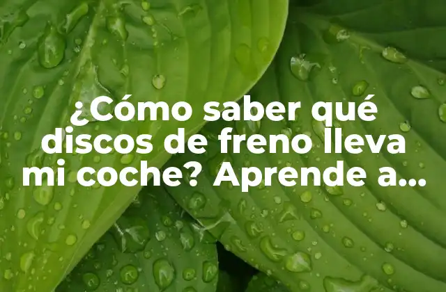 ¿cómo Saber Qué Discos de Freno Lleva Mi Coche? Aprende a Encontrar la Respuesta