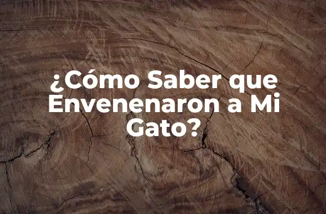 Causas Comunes de Envenenamiento en Gatos