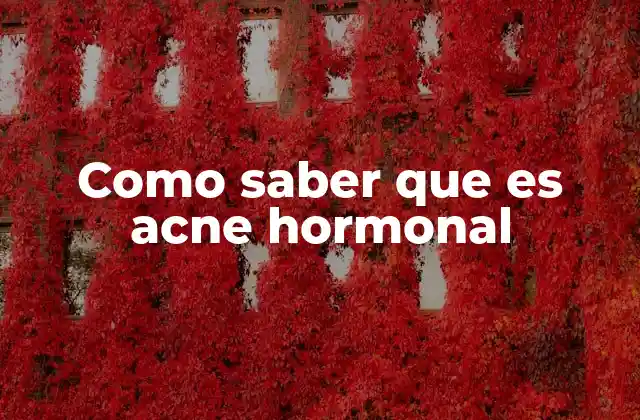 Características que diferencian el acné hormonal del acné común