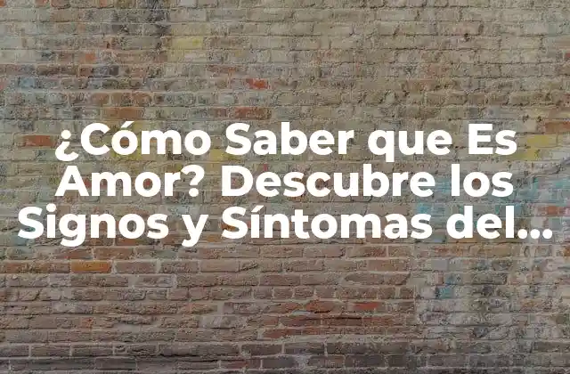 ¿cómo Saber que es Amor? Descubre los Signos y Síntomas Del Verdadero Amor