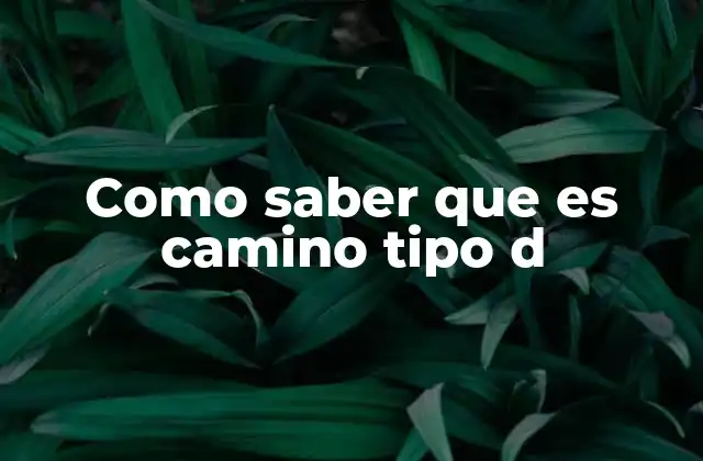 Como Saber que es Camino Tipo D