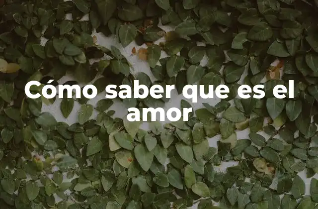 Cómo Saber que es el Amor