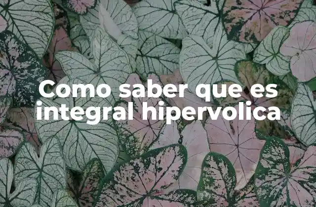 Como Saber que es Integral Hipervolica
