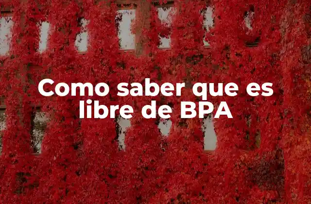 Cómo identificar productos seguros sin mencionar directamente el BPA