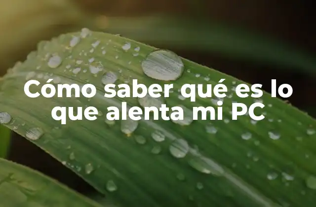 Cómo Saber Qué es Lo que Alenta Mi Pc