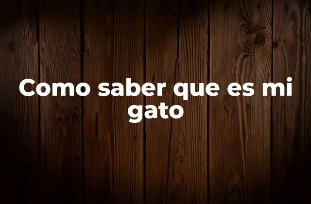 Como Saber que es Mi Gato