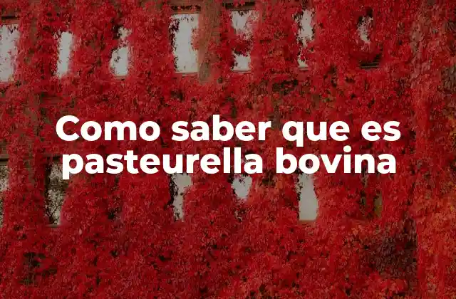 Como Saber que es Pasteurella Bovina