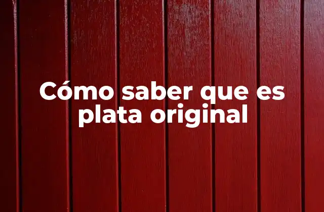 Cómo Saber que es Plata Original
