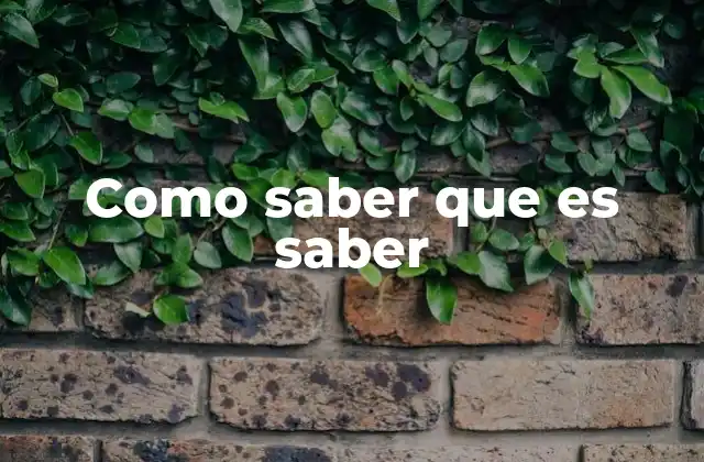 Como Saber que es Saber