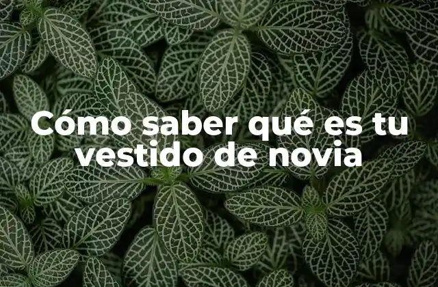 Cómo Saber Qué es Tu Vestido de Novia