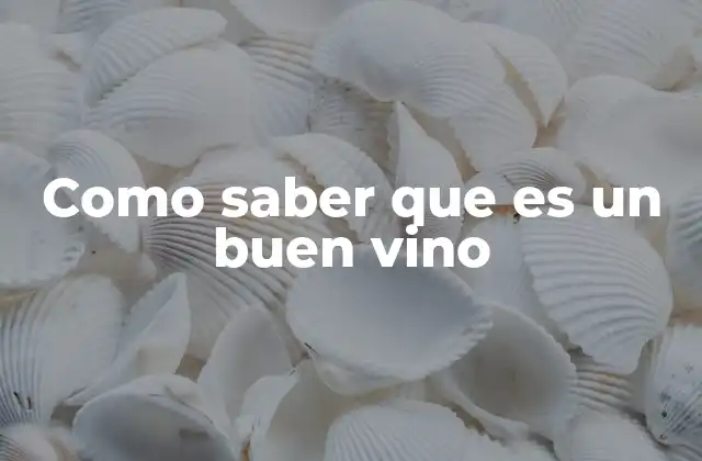 Como Saber que es un Buen Vino