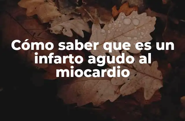 Cómo Saber que es un Infarto Agudo Al Miocardio