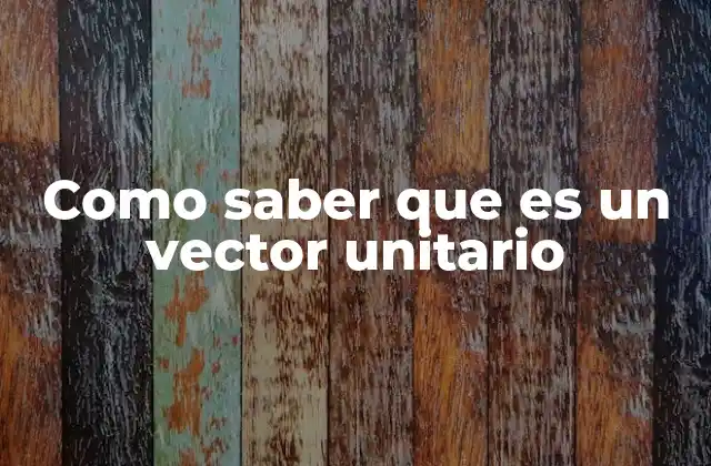 Como Saber que es un Vector Unitario
