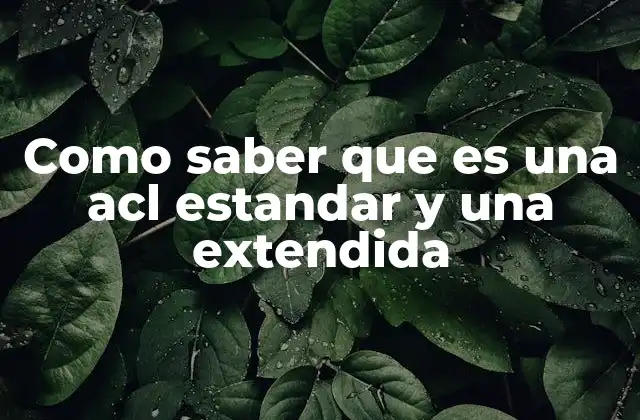Como Saber que es una Acl Estandar y una Extendida