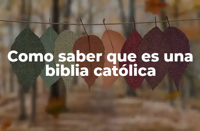 Como Saber que es una Biblia Católica