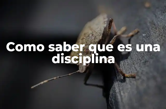 Como Saber que es una Disciplina 2 Identificando el marco conceptual de una disciplina