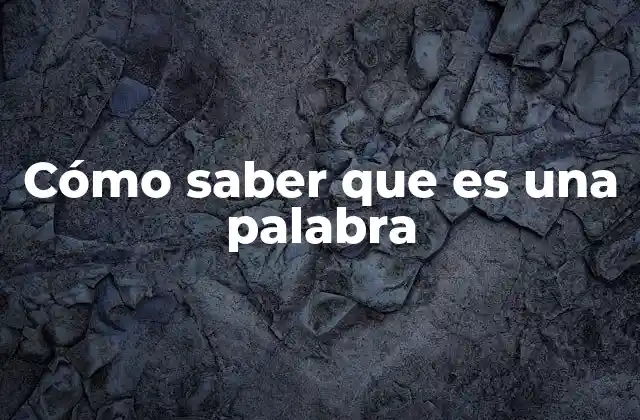 Características que diferencian una palabra de una combinación de letras