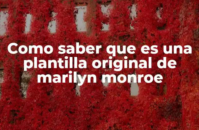 Como Saber que es una Plantilla Original de Marilyn Monroe
