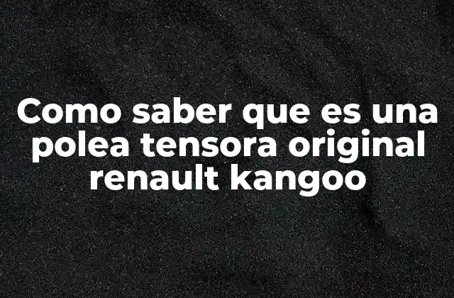 Como Saber que es una Polea Tensora Original Renault Kangoo