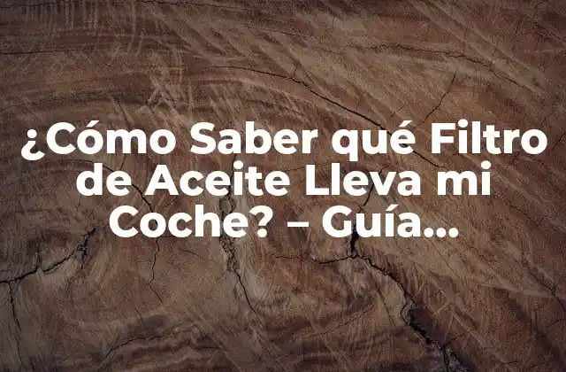 ¿cómo Saber Qué Filtro de Aceite Lleva Mi Coche? – Guía Definitiva