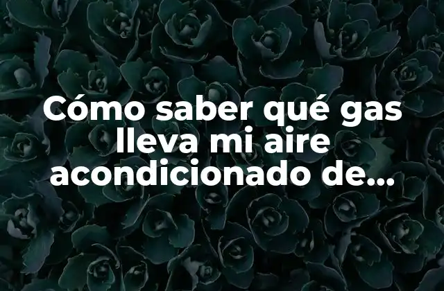 Cómo Saber Qué Gas Lleva Mi Aire Acondicionado de Coche