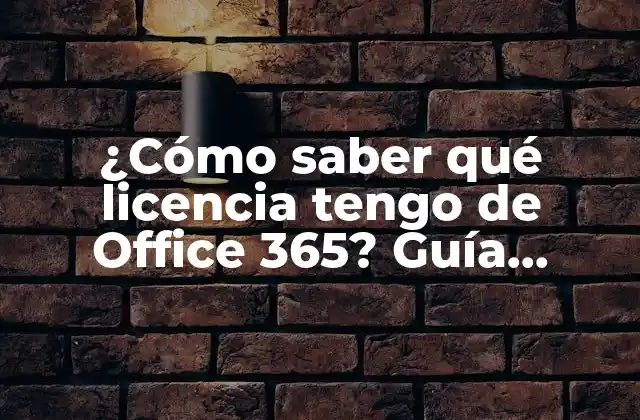 ¿cómo Saber Qué Licencia Tengo de Office 365? Guía Práctica