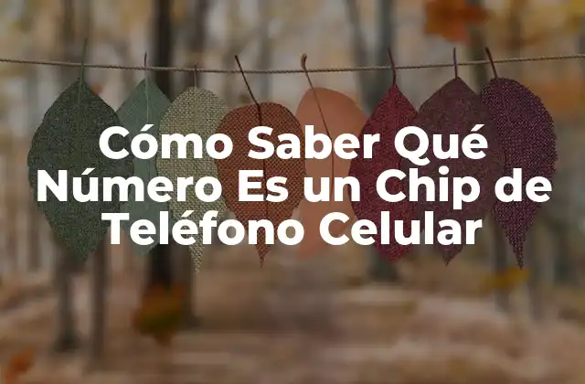 Cómo Saber Qué Número es un Chip de Teléfono Celular