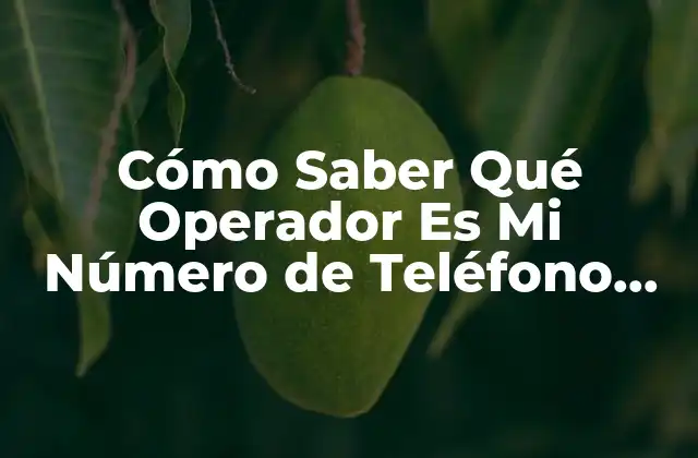 Cómo Saber Qué Operador es Mi Número de Teléfono Móvil