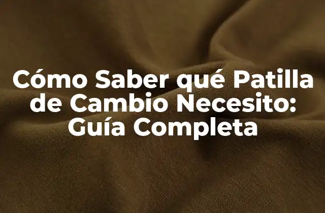 Cómo Saber Qué Patilla de Cambio Necesito: Guía Completa