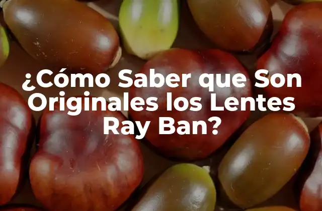 Características de los Lentes Ray Ban Originales