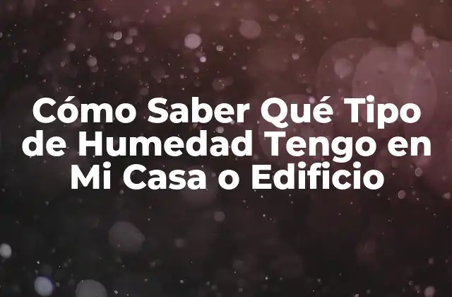 Cómo Saber Qué Tipo de Humedad Tengo en Mi Casa o Edificio