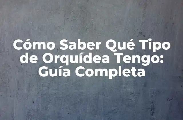Cómo Saber Qué Tipo de Orquídea Tengo: Guía Completa
