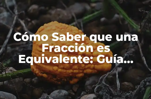 Cómo Saber que una Fracción es Equivalente: Guía Completa
